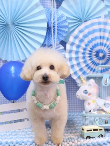 20231129こじろうくん